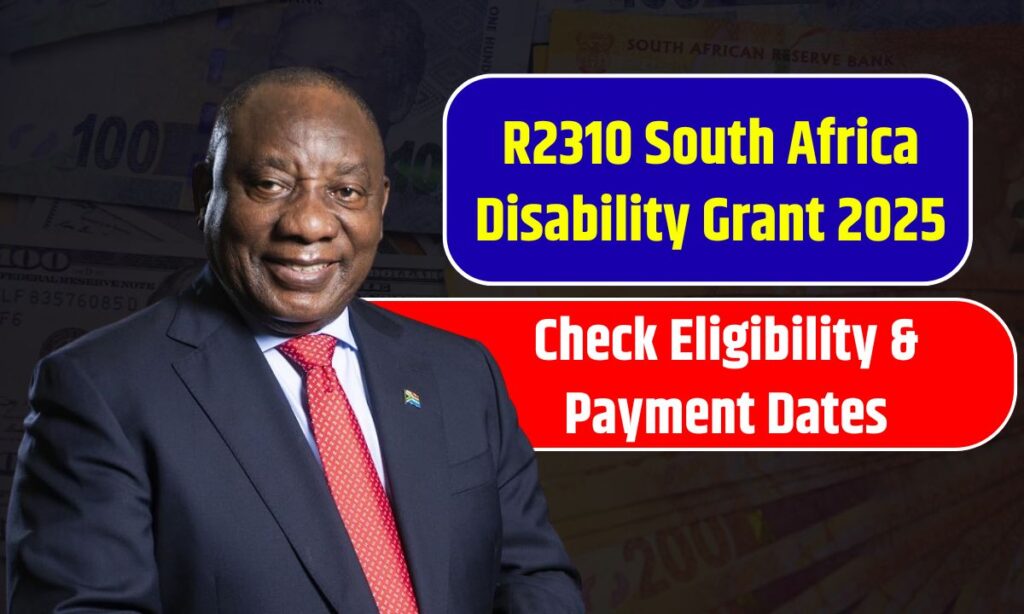 R2310 South Africa Disability Grant 2025